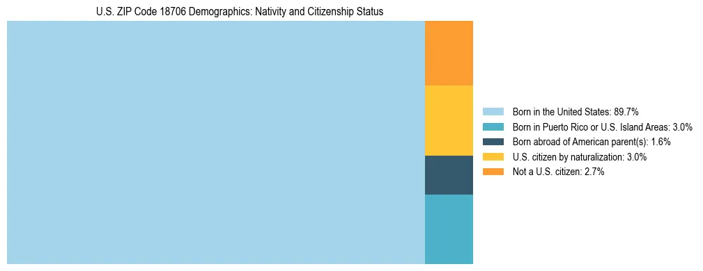 Treemap showing the population distribution by nativity and citizenship status in US ZIP Code 18706 based on U.S. Census data.