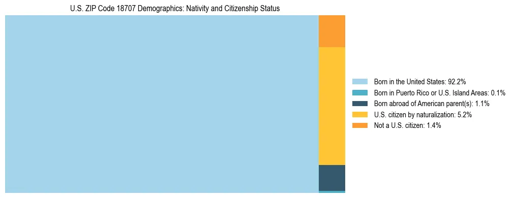 Treemap showing the population distribution by nativity and citizenship status in US ZIP Code 18707 based on U.S. Census data.