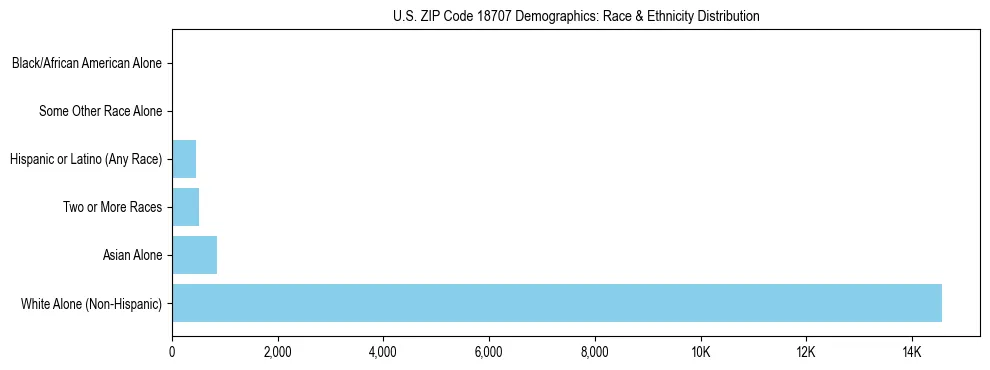 Race and Ethnicity Distribution Chart for US ZIP Code 18707