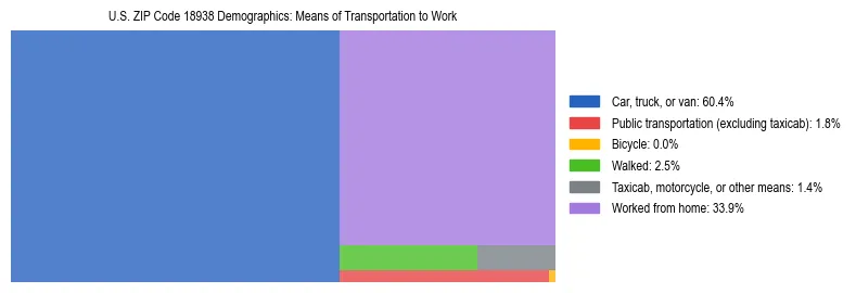 Treemap showing means of transportation to work distribution in US ZIP Code 18938.