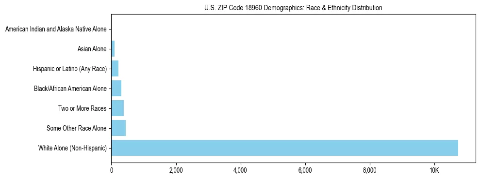 Race and Ethnicity Distribution Chart for US ZIP Code 18960