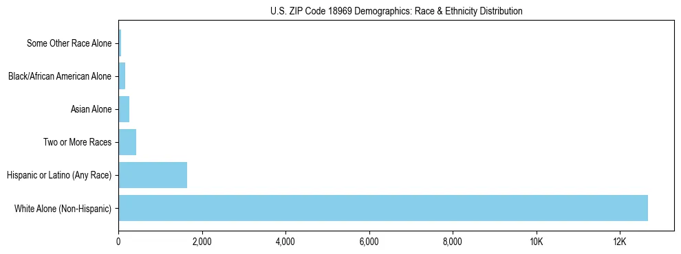 Race and Ethnicity Distribution Chart for US ZIP Code 18969