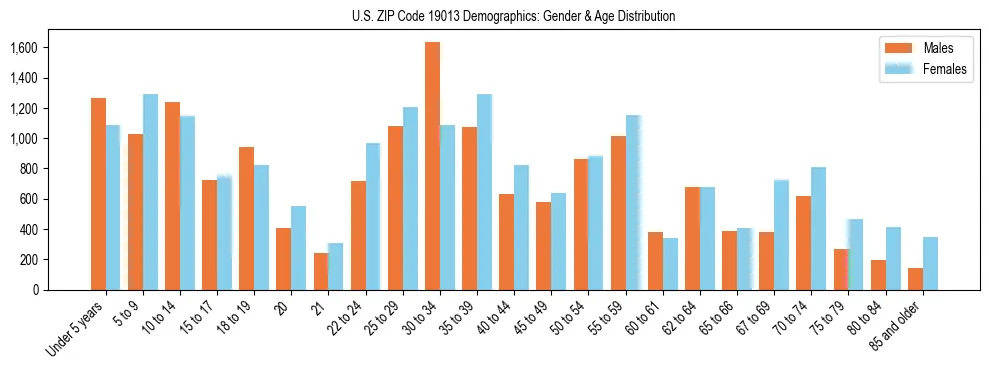 Bar chart showing the population distribution of US ZIP Code 19013 by age group and gender, based on 2023 ACS data.