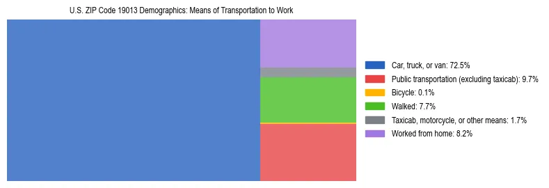 Treemap showing means of transportation to work distribution in US ZIP Code 19013.