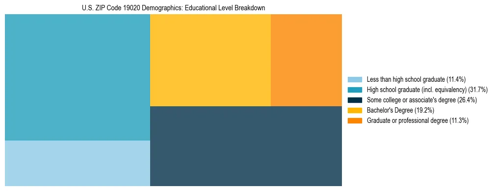 Treemap chart illustrating the educational attainment breakdown for population 25 years and over in US ZIP Code 19020.