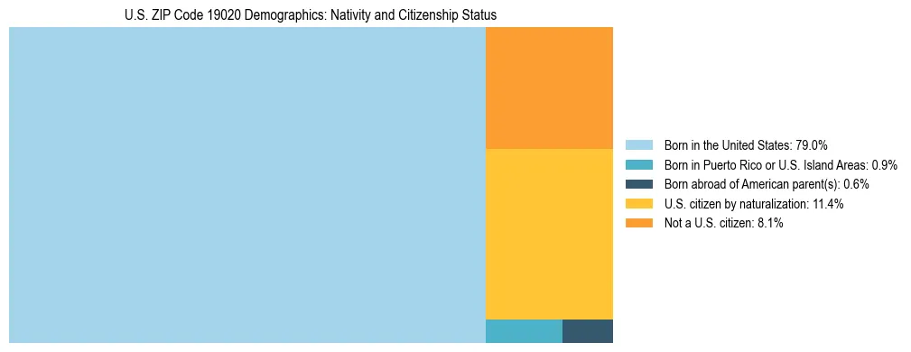 Treemap showing the population distribution by nativity and citizenship status in US ZIP Code 19020 based on U.S. Census data.