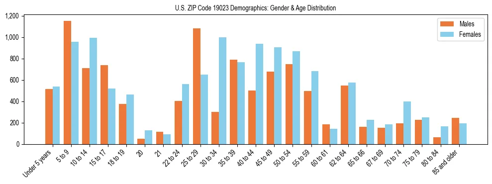 Bar chart showing the population distribution of US ZIP Code 19023 by age group and gender, based on 2023 ACS data.