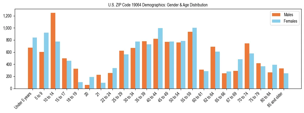 Bar chart showing the population distribution of US ZIP Code 19064 by age group and gender, based on 2023 ACS data.