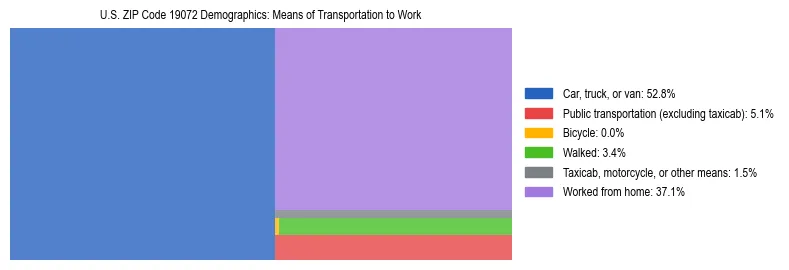 Treemap showing means of transportation to work distribution in US ZIP Code 19072.