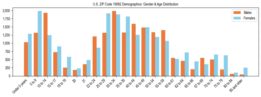 Bar chart showing the population distribution of US ZIP Code 19082 by age group and gender, based on 2023 ACS data.