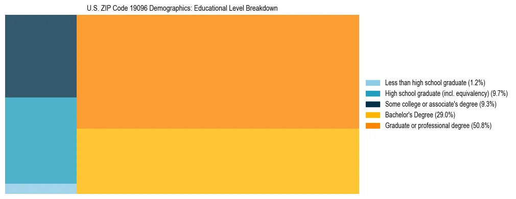 Treemap chart illustrating the educational attainment breakdown for population 25 years and over in US ZIP Code 19096.
