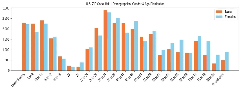 Bar chart showing the population distribution of US ZIP Code 19111 by age group and gender, based on 2023 ACS data.