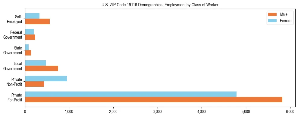 Horizontal bar chart showing employment distribution by class of worker and gender in US ZIP Code 19116, based on 2023 ACS data.