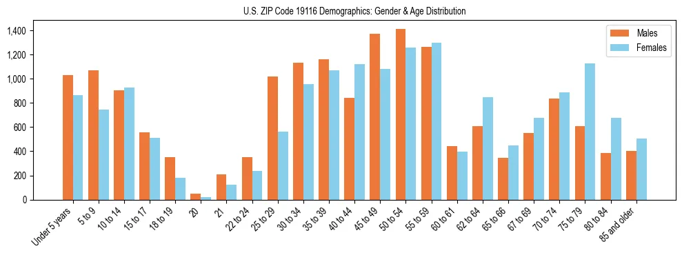 Bar chart showing the population distribution of US ZIP Code 19116 by age group and gender, based on 2023 ACS data.