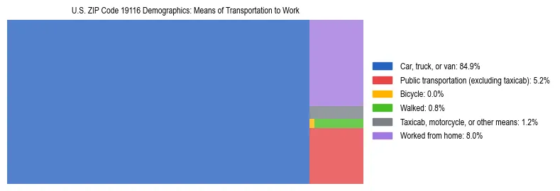 Treemap showing means of transportation to work distribution in US ZIP Code 19116.