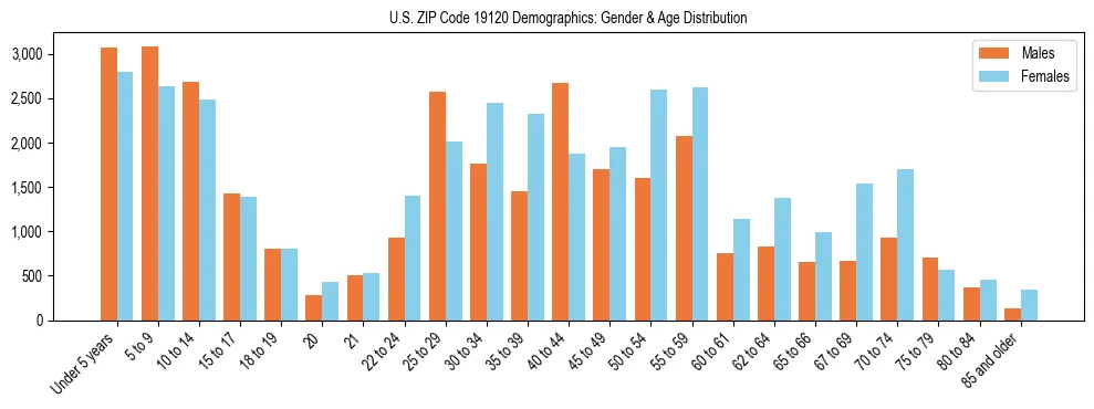 Bar chart showing the population distribution of US ZIP Code 19120 by age group and gender, based on 2023 ACS data.