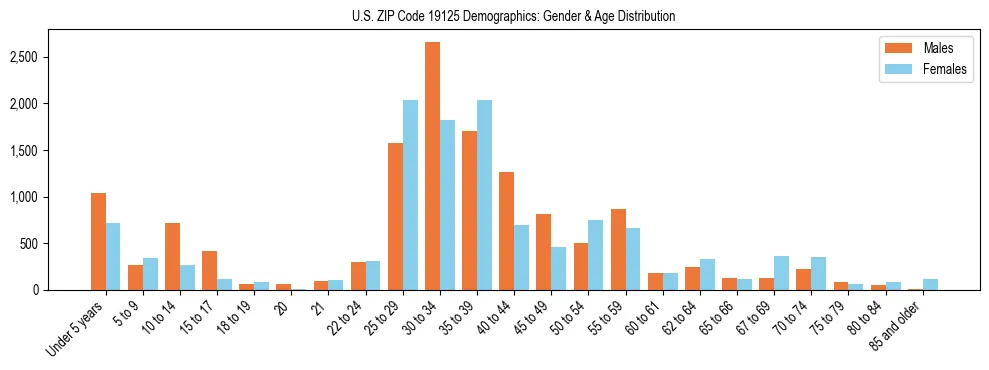 Bar chart showing the population distribution of US ZIP Code 19125 by age group and gender, based on 2023 ACS data.