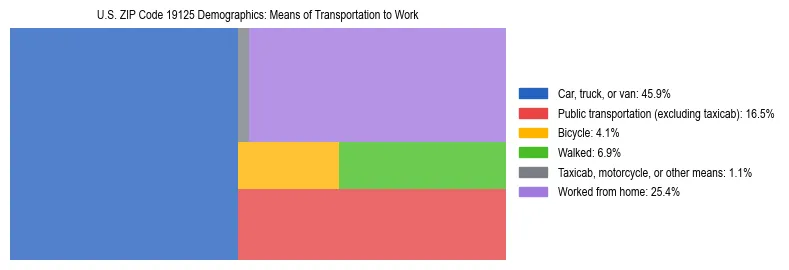 Treemap showing means of transportation to work distribution in US ZIP Code 19125.