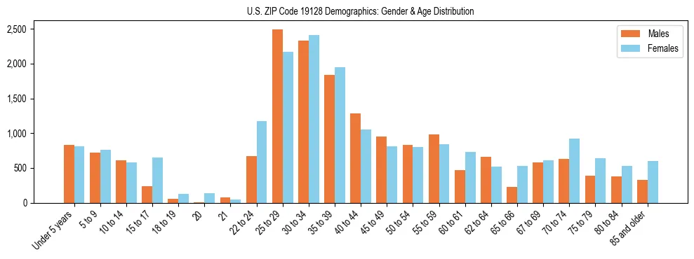 Bar chart showing the population distribution of US ZIP Code 19128 by age group and gender, based on 2023 ACS data.