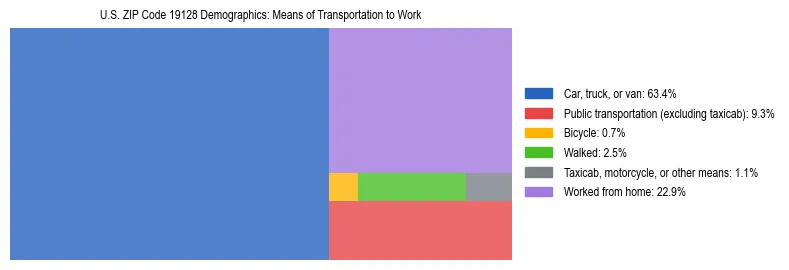 Treemap showing means of transportation to work distribution in US ZIP Code 19128.