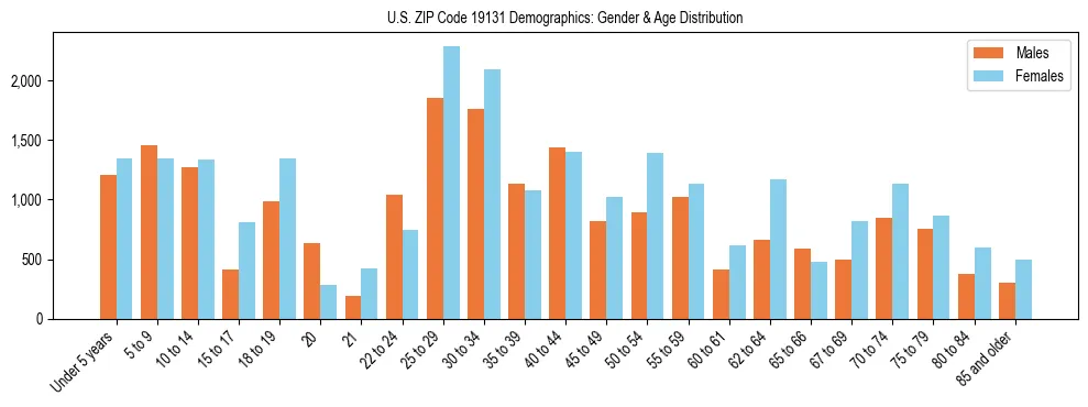 Bar chart showing the population distribution of US ZIP Code 19131 by age group and gender, based on 2023 ACS data.