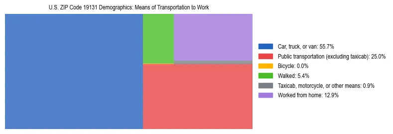 Treemap showing means of transportation to work distribution in US ZIP Code 19131.