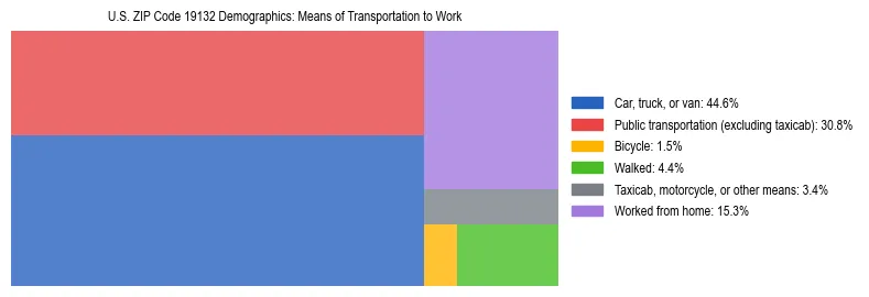 Treemap showing means of transportation to work distribution in US ZIP Code 19132.