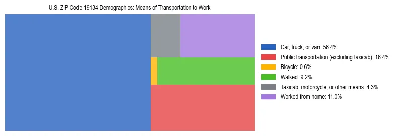 Treemap showing means of transportation to work distribution in US ZIP Code 19134.