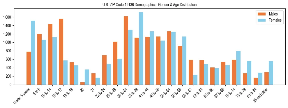 Bar chart showing the population distribution of US ZIP Code 19136 by age group and gender, based on 2023 ACS data.
