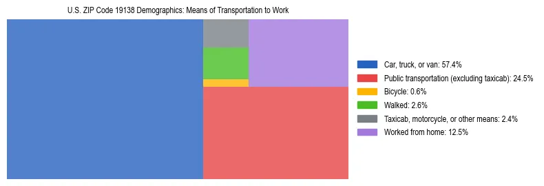 Treemap showing means of transportation to work distribution in US ZIP Code 19138.