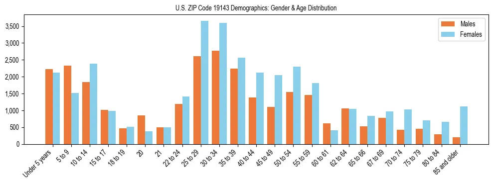Bar chart showing the population distribution of US ZIP Code 19143 by age group and gender, based on 2023 ACS data.