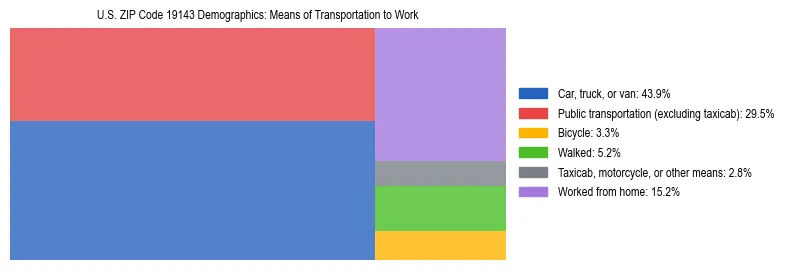 Treemap showing means of transportation to work distribution in US ZIP Code 19143.