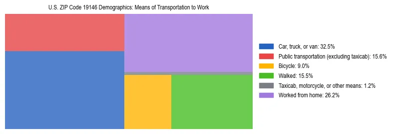 Treemap showing means of transportation to work distribution in US ZIP Code 19146.