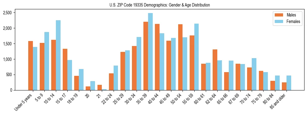 Bar chart showing the population distribution of US ZIP Code 19335 by age group and gender, based on 2023 ACS data.