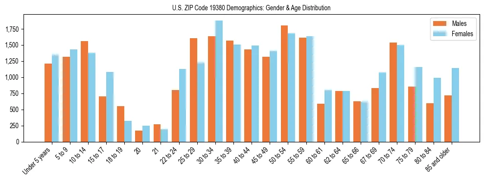 Bar chart showing the population distribution of US ZIP Code 19380 by age group and gender, based on 2023 ACS data.
