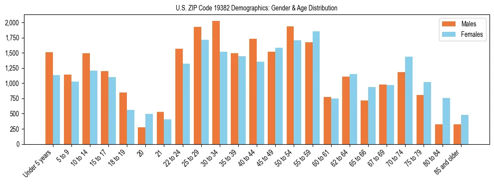 Bar chart showing the population distribution of US ZIP Code 19382 by age group and gender, based on 2023 ACS data.