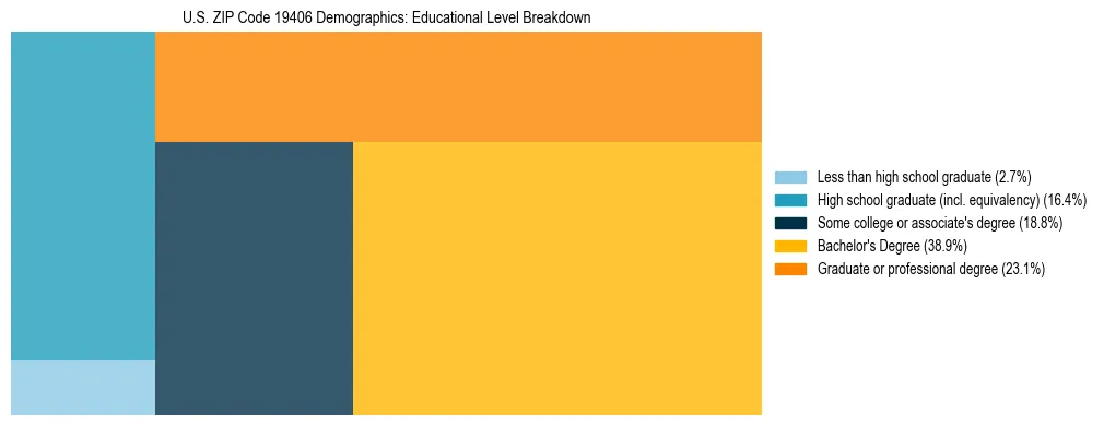 Treemap chart illustrating the educational attainment breakdown for population 25 years and over in US ZIP Code 19406.
