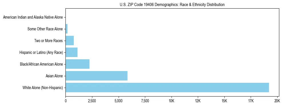 Race and Ethnicity Distribution Chart for US ZIP Code 19406