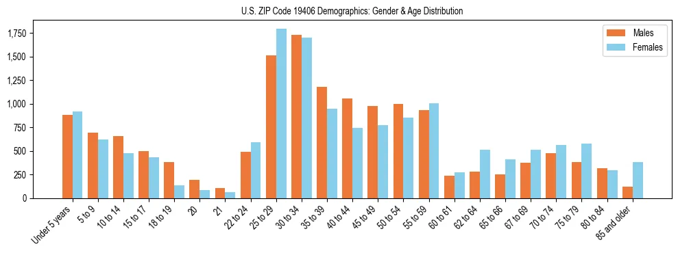 Bar chart showing the population distribution of US ZIP Code 19406 by age group and gender, based on 2023 ACS data.