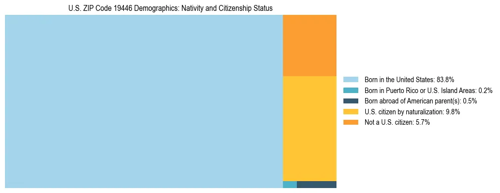 Treemap showing the population distribution by nativity and citizenship status in US ZIP Code 19446 based on U.S. Census data.