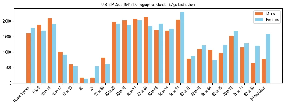 Bar chart showing the population distribution of US ZIP Code 19446 by age group and gender, based on 2023 ACS data.