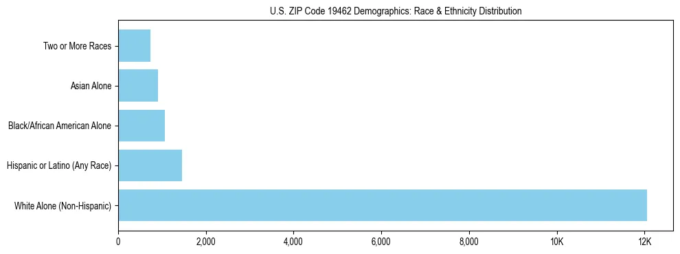 Race and Ethnicity Distribution Chart for US ZIP Code 19462