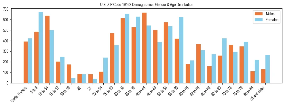 Bar chart showing the population distribution of US ZIP Code 19462 by age group and gender, based on 2023 ACS data.