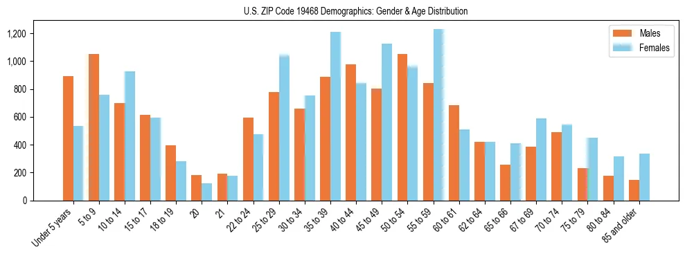 Bar chart showing the population distribution of US ZIP Code 19468 by age group and gender, based on 2023 ACS data.