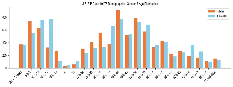Bar chart showing the population distribution of US ZIP Code 19473 by age group and gender, based on 2023 ACS data.