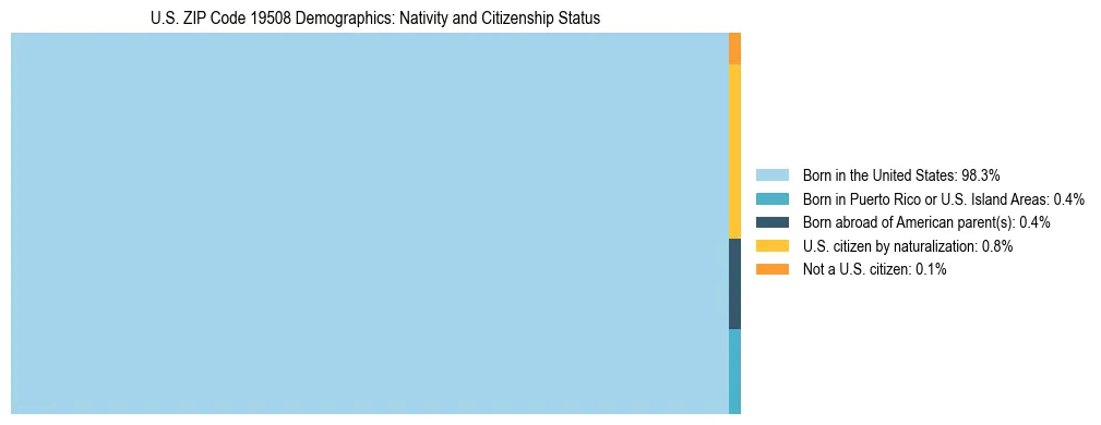 Treemap showing the population distribution by nativity and citizenship status in US ZIP Code 19508 based on U.S. Census data.