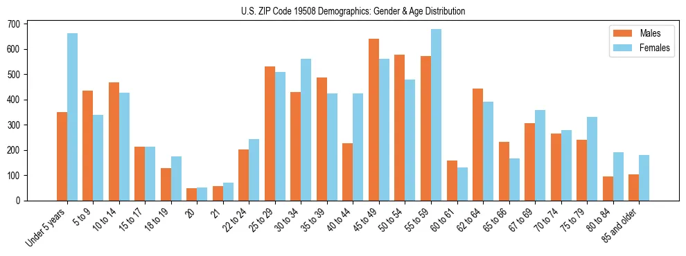 Bar chart showing the population distribution of US ZIP Code 19508 by age group and gender, based on 2023 ACS data.