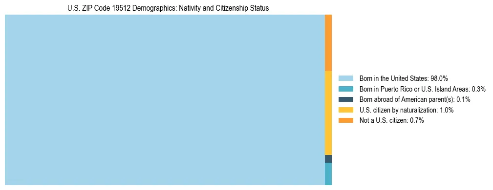 Treemap showing the population distribution by nativity and citizenship status in US ZIP Code 19512 based on U.S. Census data.