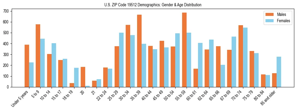 Bar chart showing the population distribution of US ZIP Code 19512 by age group and gender, based on 2023 ACS data.