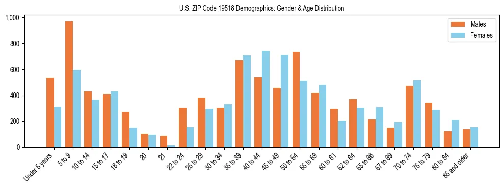 Bar chart showing the population distribution of US ZIP Code 19518 by age group and gender, based on 2023 ACS data.